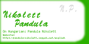 nikolett pandula business card